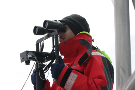 observing_resize