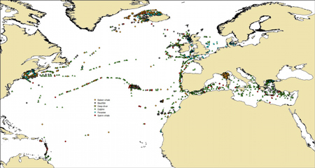 1993 to 2013 sightings grouped