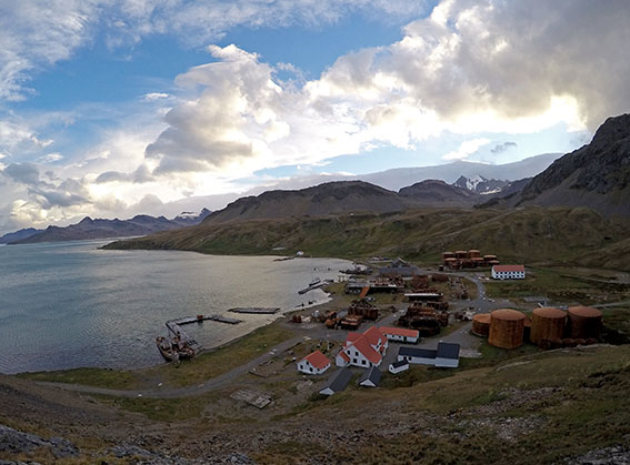 Grytviken seen from above.