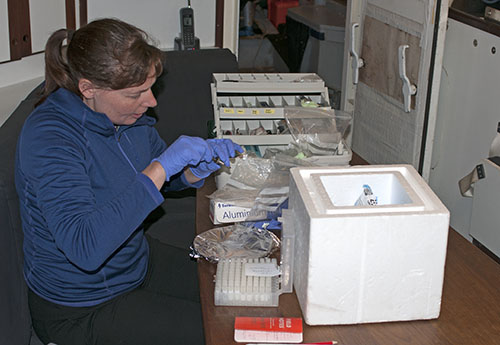 Processing DNA samples.